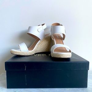 Ever New Darwin Wedges